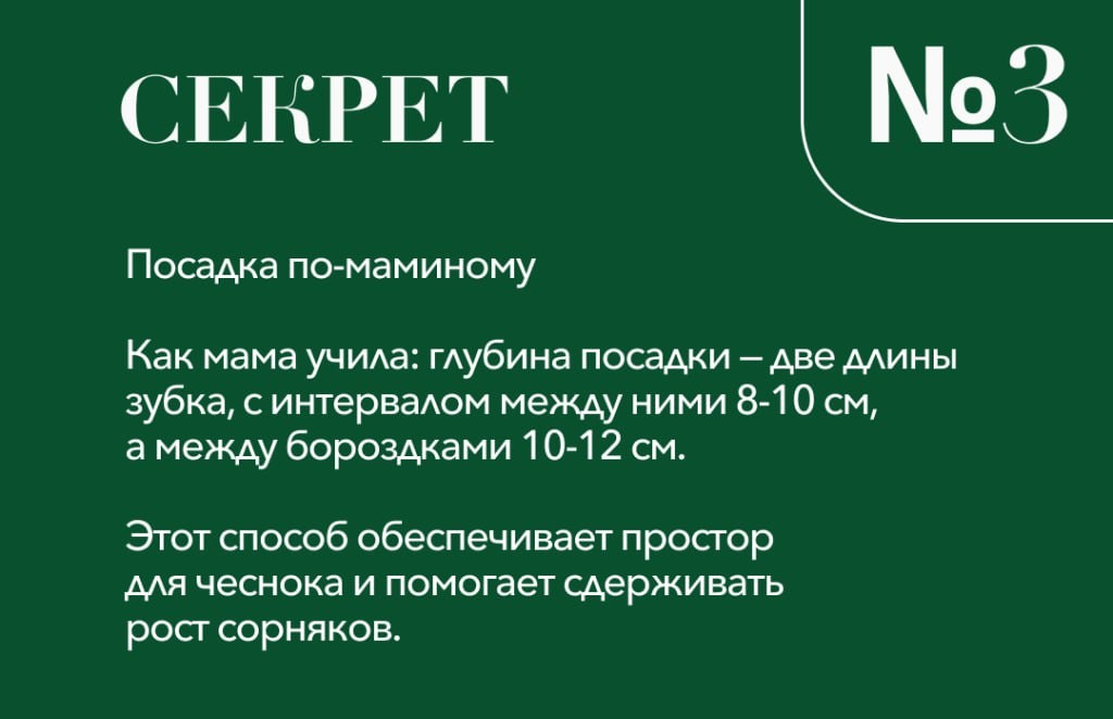upper banner