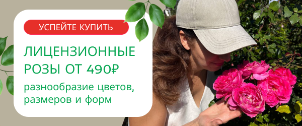 oblozhka