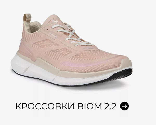 Кроссовки BIOM 2.2