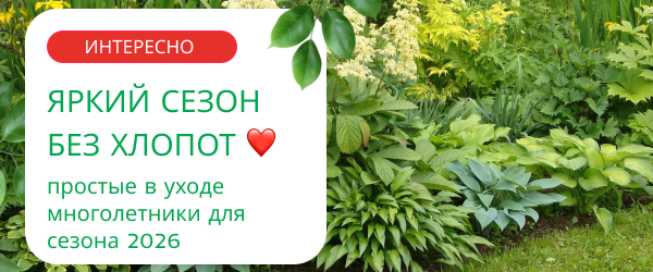 oblozhka