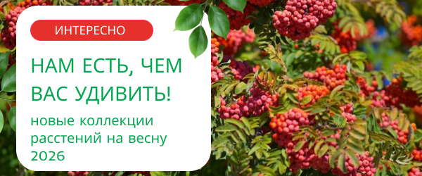 oblozhka