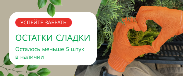 oblozhka