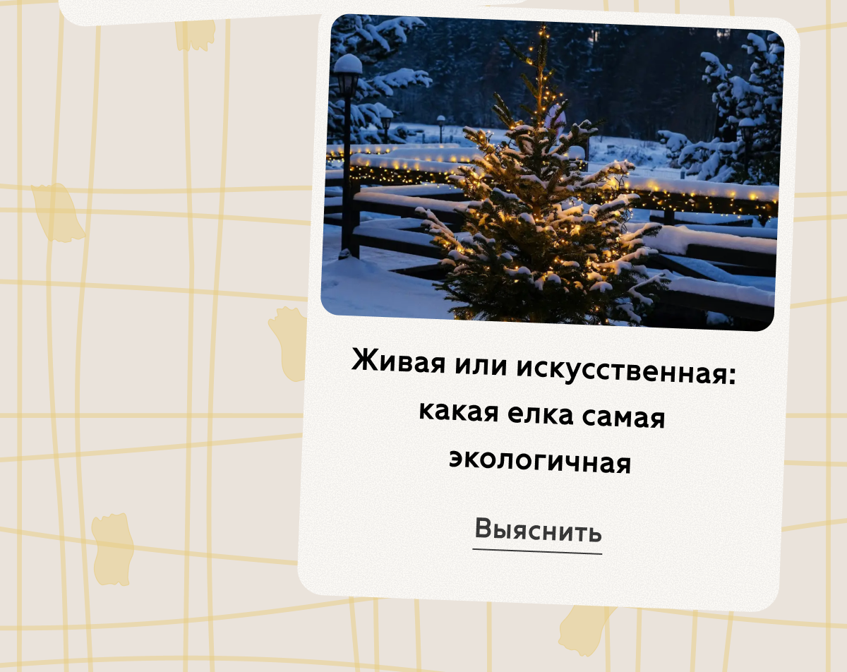 Живая или искусственная: какая елка самая экологичная