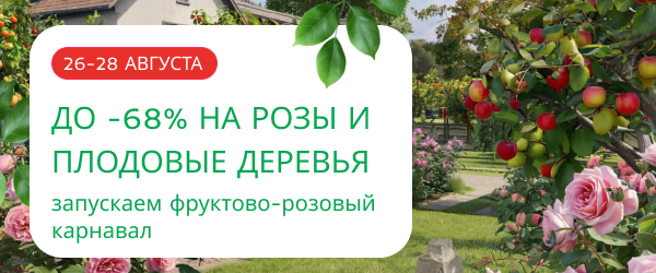 oblozhka