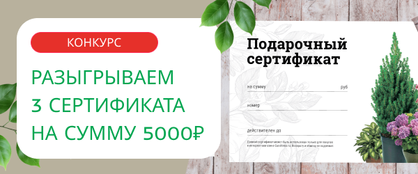 oblozhka