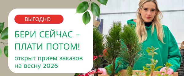 oblozhka