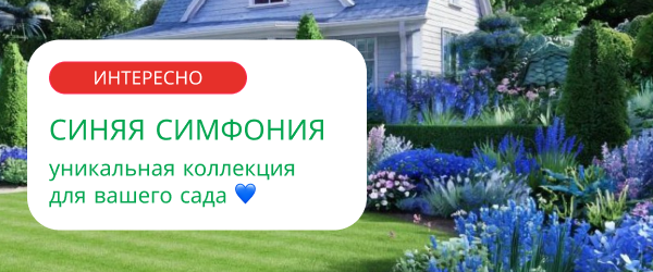 oblozhka
