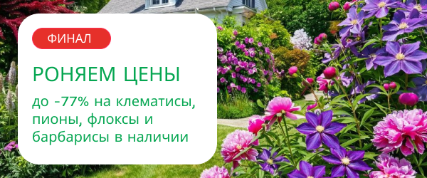 oblozhka
