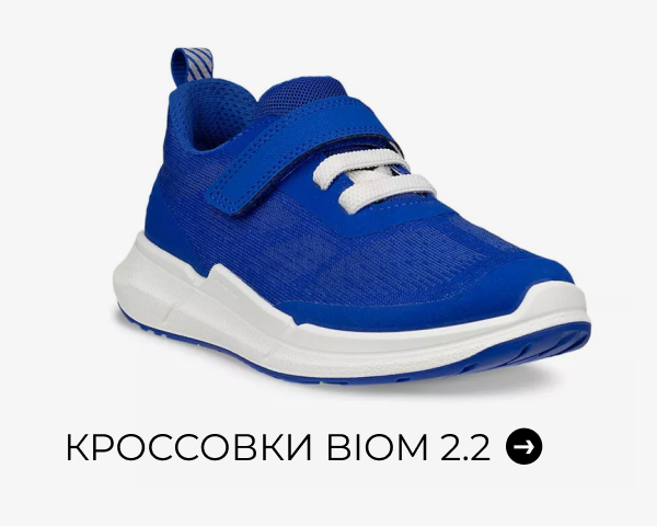 Кроссовки BIOM 2.2