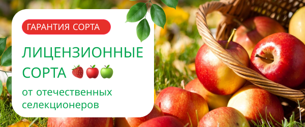 oblozhka