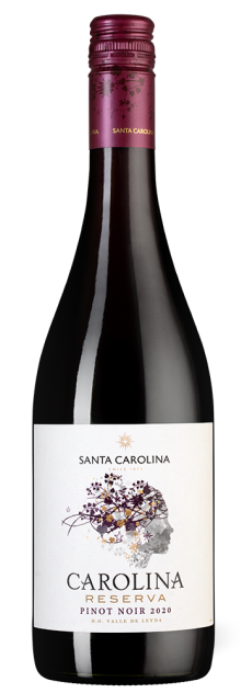 Вино Carolina Reserva Pinot Noir, Santa Carolina, 2020 г.