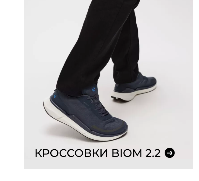 Кроссовки BIOM 2.2