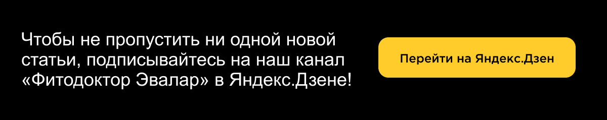 Статьи Фитодоктор