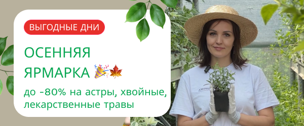 oblozhka