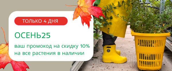 oblozhka