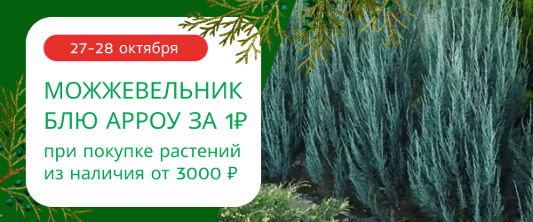 oblozhka