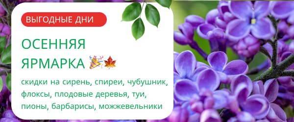 oblozhka
