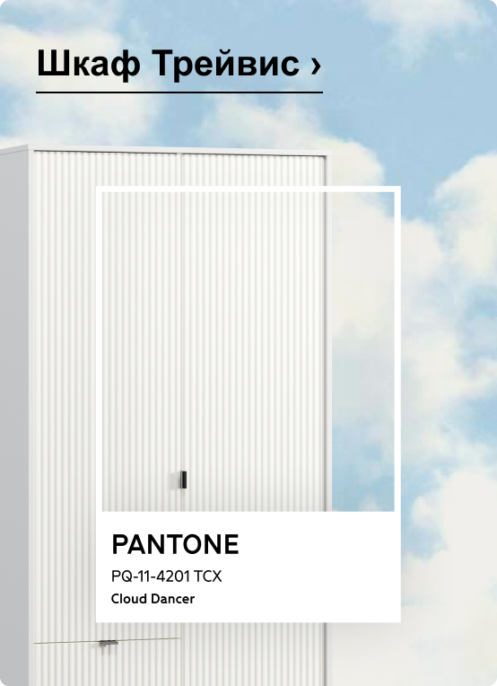 Распашной шкаф Трейвис