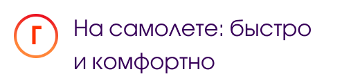 Г. На самолете: быстро и комфортно