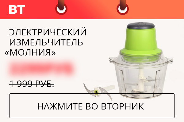 Электрический измельчитель «Молния»