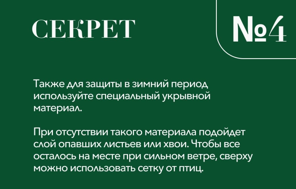 upper banner