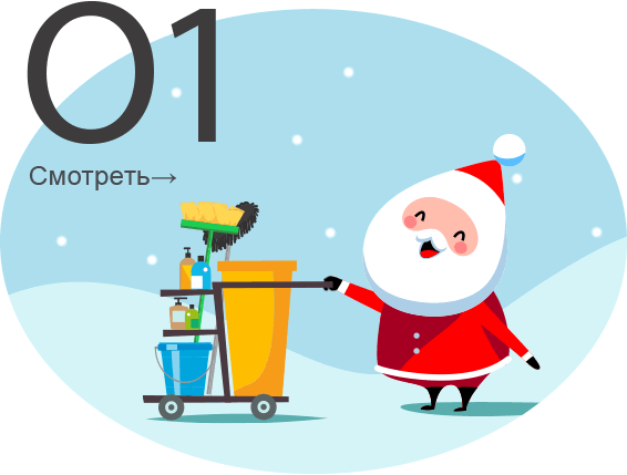 Новый год в чистом доме