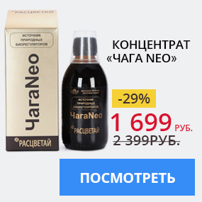 Концентрат Чага Neo