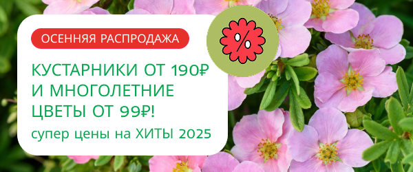 oblozhka