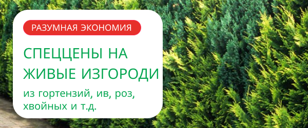 oblozhka