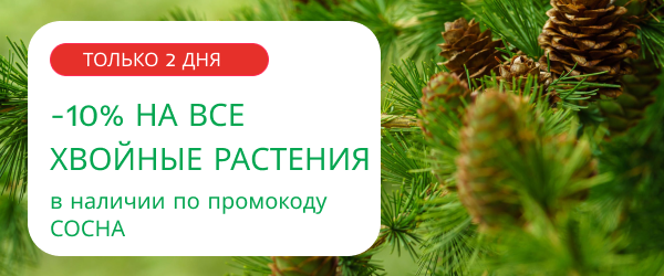 oblozhka
