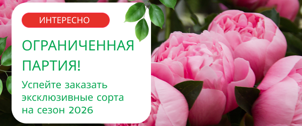 oblozhka
