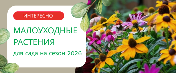 oblozhka