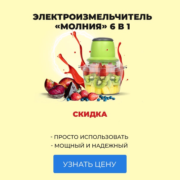 Электрический измельчитель «Молния»