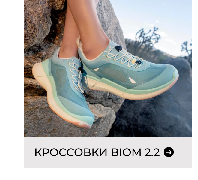 Кроссовки BIOM 2.2