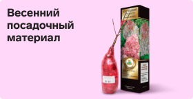 Весенний посадочный материал