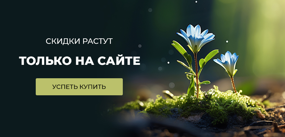 Такие скидки - только на сайте