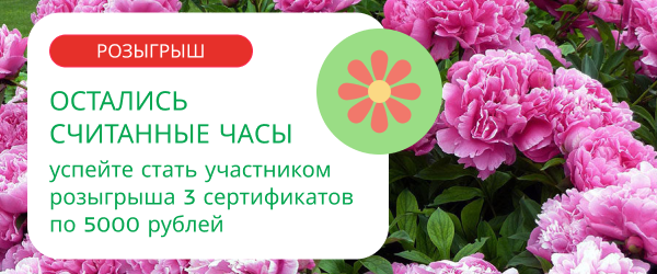 oblozhka