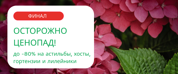oblozhka