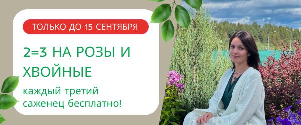 oblozhka