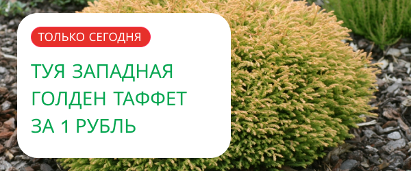 oblozhka