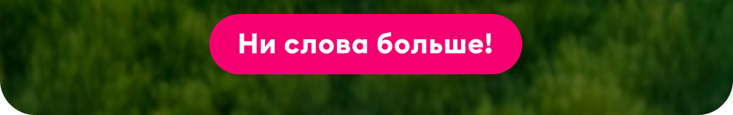 Ни слова больше