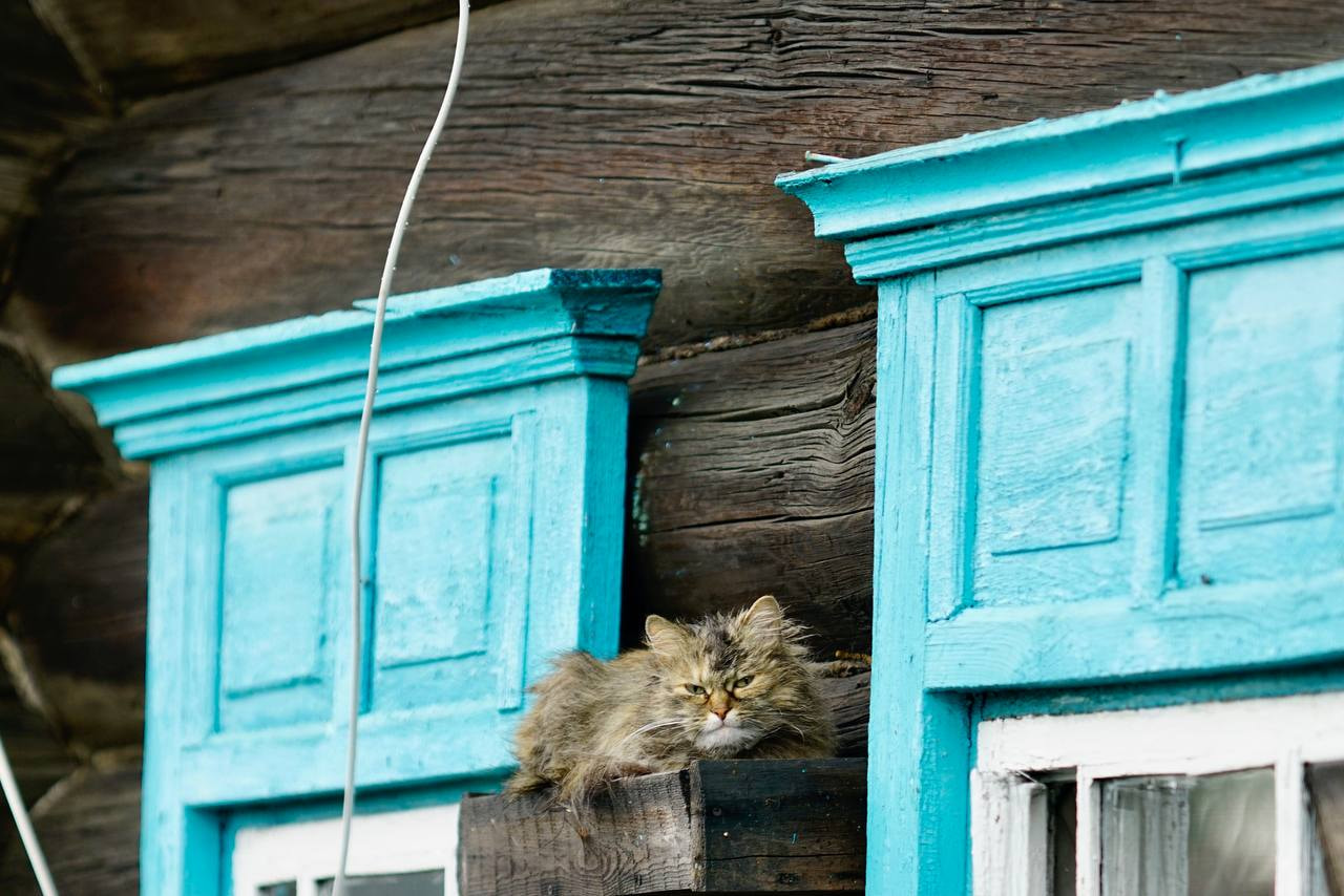 Туту
