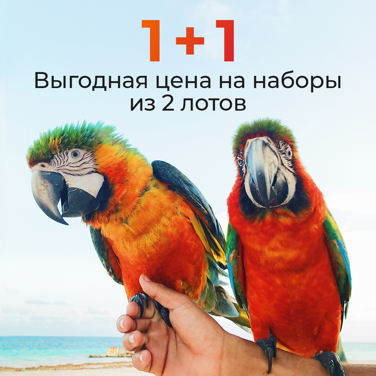 1+1: выгодная цена из наборы из 2-х лотов