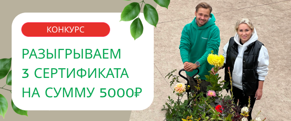 oblozhka