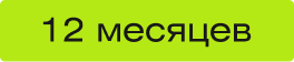 12 месяцев