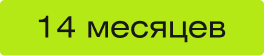 14 месяцев