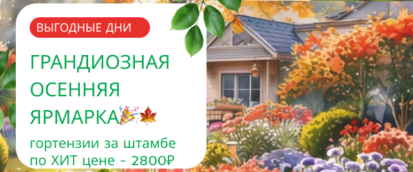 oblozhka