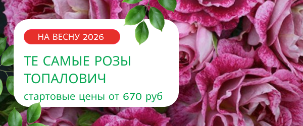 oblozhka