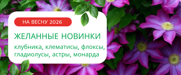 oblozhka