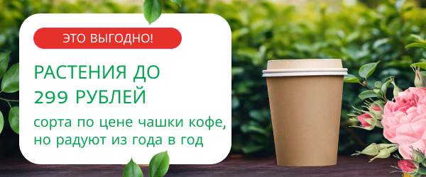 oblozhka